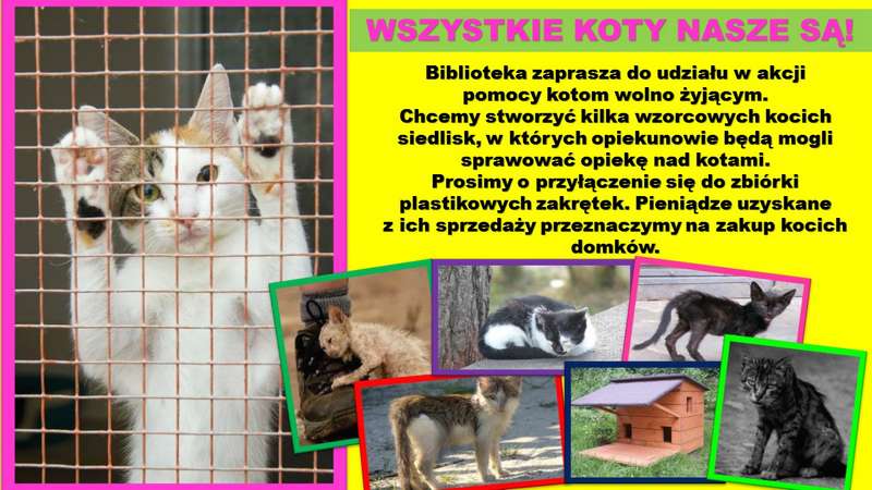 wszystkie-koty-nasze-sa