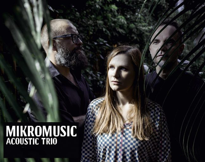 11 30.03.19 mikromusic
