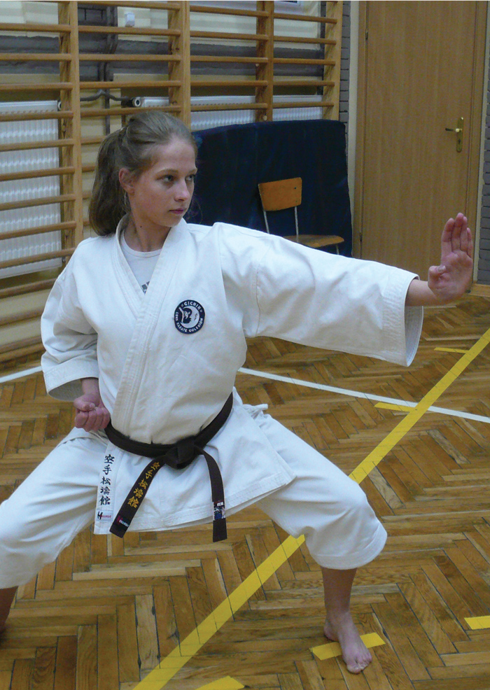 3 KARATE  kopia