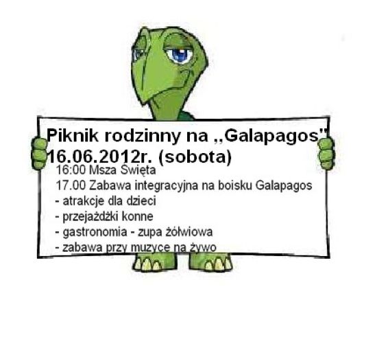 Zolw